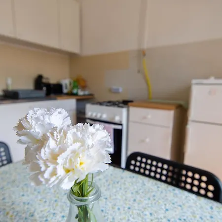 Profi Apartment *